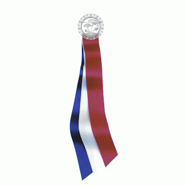 17th of May ribbon Tromsøpalmen, oxidized