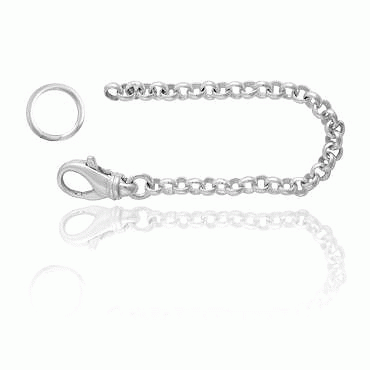 Security Chain No. 1 light